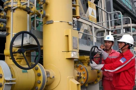 Ảnh minh họa. (Nguồn: TTXVN)