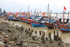 Tàu thuyền của ngư dân neo đậu tránh bão dọc ven biển Cửa Hội sáng 16/7. (Ảnh: Thanh Tùng/TTXVN)