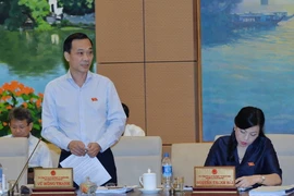 Chủ nhiệm Ủy ban Kinh tế của Quốc hội Vũ Hồng Thanh phát biểu tại Phiên họp. (Ảnh: Trọng Đức/TTXVN)