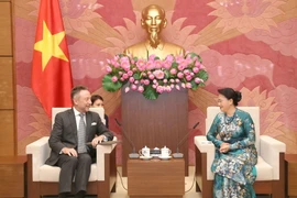 Chủ tịch Quốc hội Nguyễn Thị Kim Ngân tiếp Ngài Vitez Slav Grepl, Đại sứ Cộng hòa Séc tại Việt Nam. (Ảnh: Doãn Tấn/TTXVN)