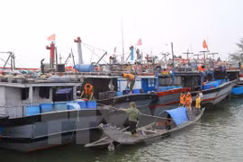 Tàu neo đậu tránh bão. (Ảnh minh họa. Nguồn: TTXVN)