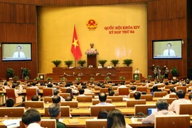 Toàn cảnh phiên họp. (Ảnh: Doãn Tấn/TTXVN)