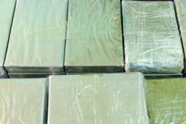 Tang vật một vụ buôn ma túy. (Ảnh minh họa: Văn Đạt/TTXVN)