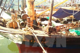 Hàng loạt tàu vỏ thép ở Bình Định vừa được đóng mới đã bị sét gỉ, hư hỏng nặng. (Ảnh: Nguyên Linh/TTXVN) 