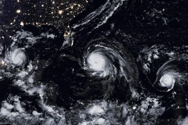 Hình ảnh về cơn bão Jose. (Nguồn: Getty Images)