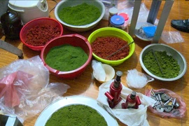 Tang vật tại hiện trường. (Ảnh: Đinh Tuấn/Vietnam+)