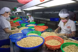 Sản xuất hàng may mặc xuất khẩu. (Ảnh: Danh Lam/TTXVN)