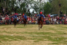 Ảnh minh họa. (Nguồn: TTXVN)