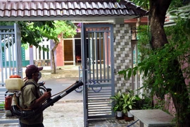 Phun thuốc diệt muỗi phòng sốt xuất huyết. (Nguồn: TTXVN)