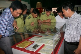 Ảnh minh họa. (Nguồn: TTXVN)