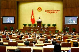 Quang cảnh phiên họp. (Ảnh: An Đăng/TTXVN)