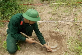 Ảnh minh họa. (Nguồn: TTXVN)