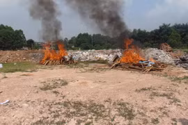 Tiêu hủy 265 bánh heroin và tang vật vụ án Tráng A Tàng và đồng bọn mua bán trái phép chất ma túy. (Ảnh: Thái Hùng/TTXVN)