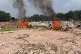 Tiêu hủy 265 bánh heroin và tang vật vụ án Tráng A Tàng và đồng bọn mua bán trái phép chất ma túy. (Ảnh: Thái Hùng/TTXVN)