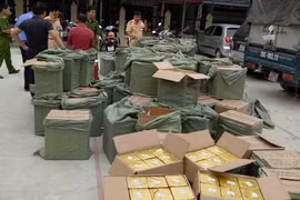 Toàn bộ số lượng pháo được lực lượng chức năng kiểm kê và niêm phong. (Ảnh: Vũ Hoàng Giang/TTXVN)