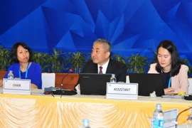 Đại biểu các nền kinh tế APEC tham dự cuộc họp Nhóm Bạn về người khuyết tật. (Ảnh: Nguyễn Khang/TTXVN)