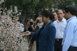 (Ảnh: Đức Anh/TTXVN)