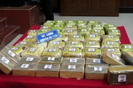 Gần 45kg ma túy tổng hợp dạng đá, 30 bánh heroin bị thu giữ. (Ảnh: Văn Đạt/TTXVN)