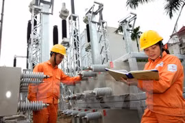 (Ảnh: Ngọc Hà/TTXVN)