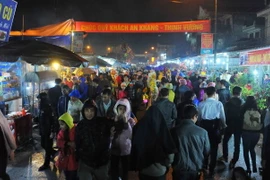 (Ảnh: Minh Đức/TTXVN)