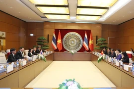 Chủ tịch Quốc hội Nguyễn Thị Kim Ngân hội đàm với Chủ tịch Hội đồng Lập pháp Quốc gia Vương quốc Thái Lan Pornpetch Wichitcholchai. (Ảnh: Trọng Đức/TTXVN)