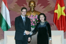 Chủ tịch Quốc hội Nguyễn Thị Kim Ngân tiếp Phó Chủ tịch Quốc hội Hungary Gergely Gulyas nhân chuyến thăm và làm việc tại Việt Nam. (Ảnh: Phạm Kiên/TTXVN)
