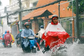 Ảnh minh họa. (Nguồn: TTXVN)