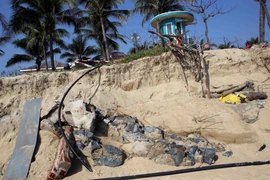 (Ảnh: Trần Lê Lâm/TTXVN)