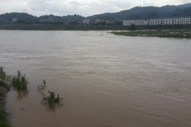 Lúc 13 giờ ngày 25/8, Trạm thủy văn Lào Cai ghi nhận được mực nước sông Hồng lên tới 79,66m (dưới báo động 1 là 0,34m). (Ảnh: Hương Thu/TTXVN)