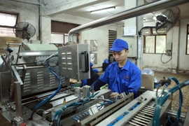 Sản xuất pin tại Công ty Cổ phần Pin Hà Nội (Tập đoàn Hóa chất Việt Nam). (Ảnh: Hoàng Hùng/TTXVN)
