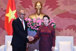 Chủ tịch Quốc hội Nguyễn Thị Kim Ngân tiếp Đại sứ Đặc mệnh toàn quyền Cuba tại Việt Nam Cuba Herminio López Díaz đến chào từ biệt, kết thúc nhiệm kỳ công tác. (Ảnh: Trọng Đức/TTXVN)