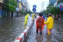 Ảnh minh họa. (Nguồn: TTXVN)