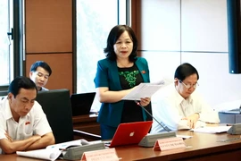 Đại biểu Quốc hội tỉnh Đồng Tháp Nguyễn Thị Mai Hoa phát biểu tại tổ. (Ảnh: An Đăng/TTXVN)