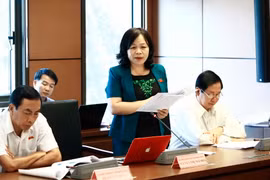 Đại biểu Quốc hội tỉnh Đồng Tháp Nguyễn Thị Mai Hoa phát biểu tại tổ. (Ảnh: An Đăng/TTXVN)