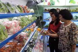 Người dân lựa chọn thực phẩm ở một cửa hàng thực phẩm sạch. (Nguồn: TTXVN)