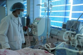 Ảnh minh họa. (Nguồn: TTXVN)