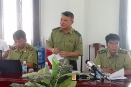 Ông Đoàn Hoài Nam, Phó Cục trưởng Cục Kiểm Lâm công bố Quyết định thanh tra. (Ảnh: Xuân Triệu/TTXVN)