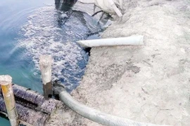 Ảnh minh họa. (Nguồn: TTXVN)