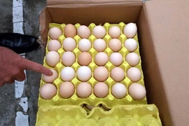 Số trứng gà không rõ nguồn gốc bị lực lượng chức năng lập biên bản, tịch thu. (Ảnh: Bùi Đức Hiếu/TTXVN)