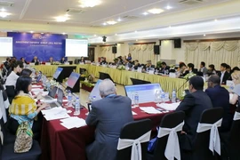 Cuộc họp Nhóm chuyên gia về đầu tư (IEG). (Ảnh: Văn Điệp/TTXVN)