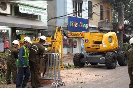 Hà Nội đầu tư mua xe phục vụ cắt tỉa mới từ Pháp với giá trị 1,5 tỉ đồng (Ảnh: Võ Phương/Vietnam+)