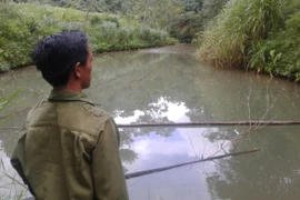 Mất trắng vụ cá, việc canh tác của người dân bị ảnh hưởng nặng nề do dòng suối có nguy cơ bị nhiễm độc. (Ảnh: Võ Phương/Vietnam+)