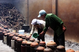 Trước Tết, các xưởng cá kho dù đã phải căng mình từ sáng đến đêm cũng không thể đáp ứng được hết nhu cầu mua của thị trường. (Ảnh: Phan Xâm/Vietnam+)