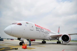 Việt Nam kết nối tới Lục địa đen với đường bay thẳng đầu tiên 