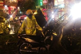 Tiếng hô lớn của chiến sỹ cảnh sát giao thông kịp thời cảnh báo người đàn ông khỏi cành cây lớn đổ xuống (Ảnh: Võ Phương/Vietnam+)