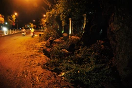 Vị trí cây đổ nằm ngay gần chùa Trấn Quốc, sự cố đã làm ách tắc giao thông 2 chiều Thanh Niên-Thụy Khuê và Thanh Niên-Phó Đức Chính. (Ảnh: Võ Phương/Vietnam+)