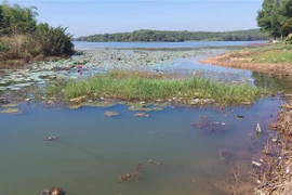 (Ảnh minh họa: TTXVN phát)