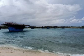 Các tàu cá neo đậu tránh trú bão trong âu tàu đảo Sinh Tồn. (Ảnh: TTXVN phát)