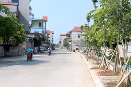 Huyện Mỹ Đức, Hà Nội. (Nguồn: hanoimoi.com.vn)