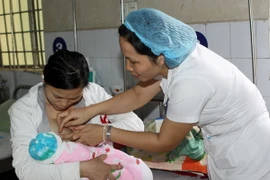 Ảnh minh họa. (Ảnh: Trọng Đức/TTXVN)